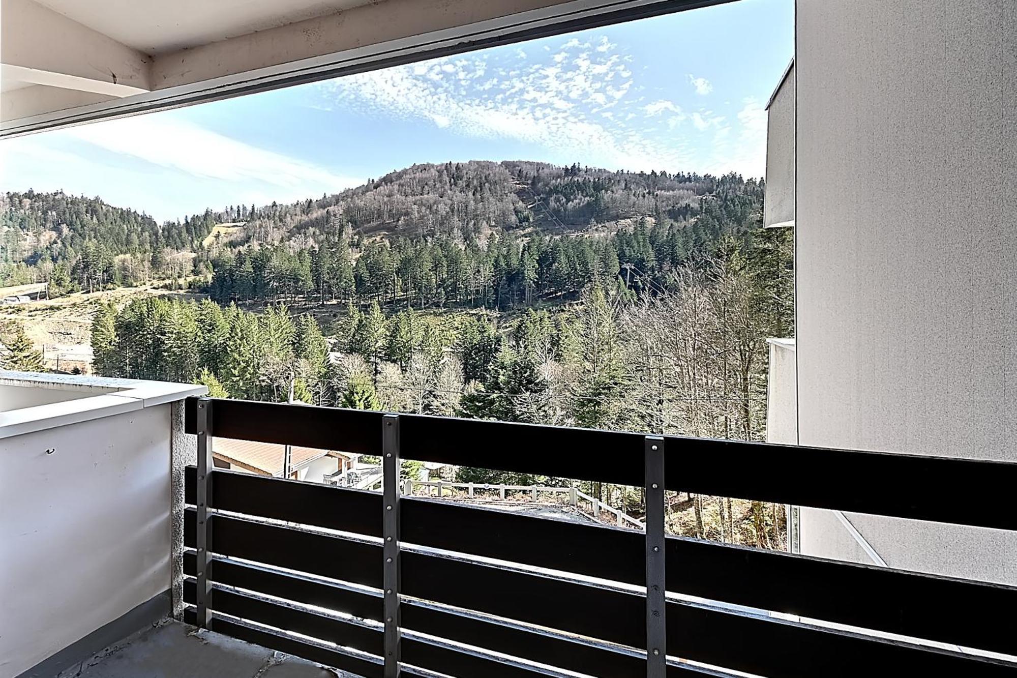 Le Cocoon - Appt Vue Montagne Apartment La Bresse Exterior photo